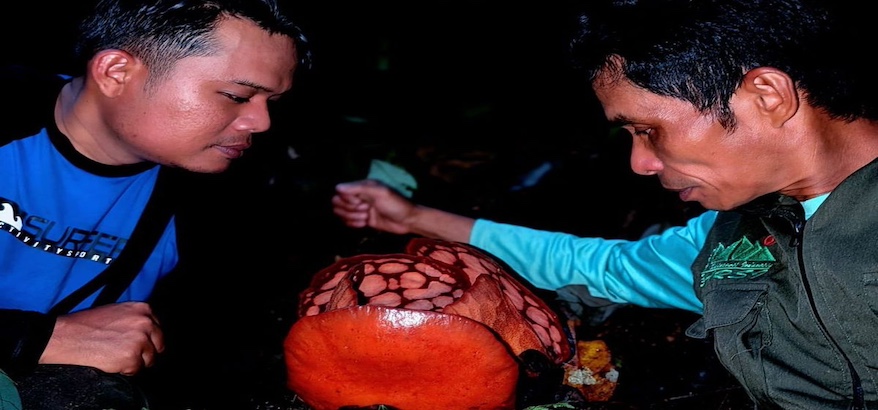 E7dc57a80e583b3d.jpg